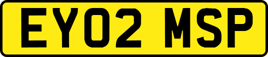 EY02MSP