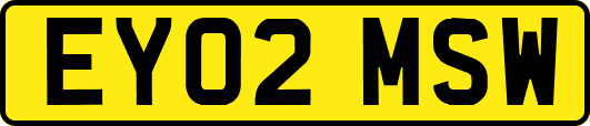 EY02MSW
