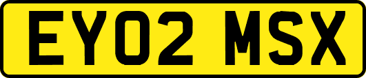 EY02MSX
