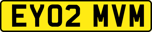 EY02MVM