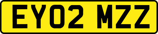 EY02MZZ