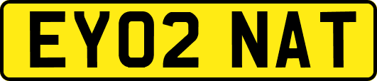 EY02NAT