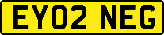 EY02NEG