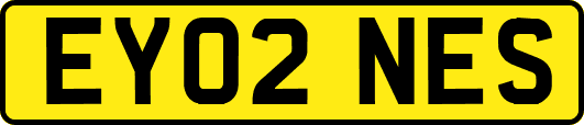 EY02NES