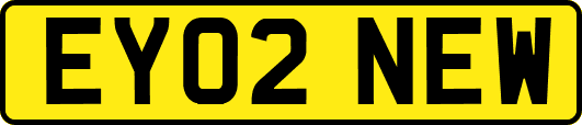EY02NEW