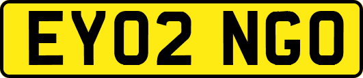 EY02NGO