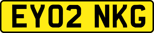 EY02NKG