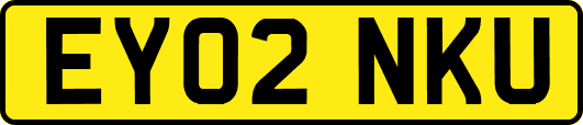 EY02NKU