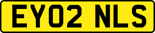 EY02NLS