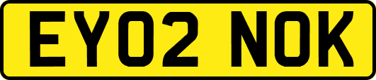 EY02NOK