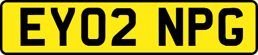 EY02NPG