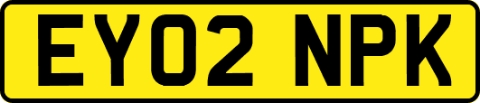 EY02NPK