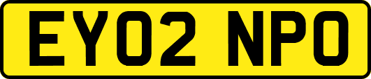 EY02NPO