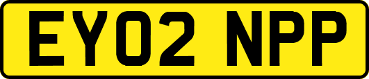 EY02NPP
