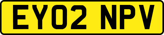 EY02NPV