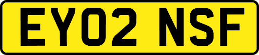 EY02NSF