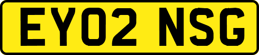 EY02NSG