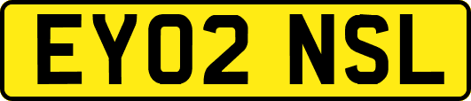 EY02NSL