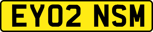 EY02NSM