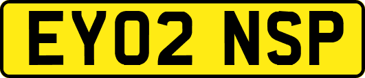 EY02NSP