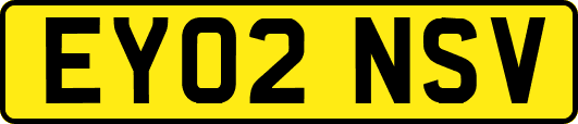 EY02NSV