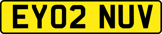 EY02NUV