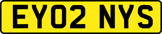 EY02NYS