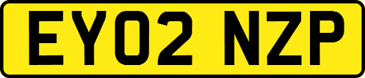 EY02NZP