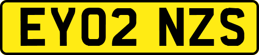 EY02NZS