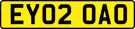 EY02OAO