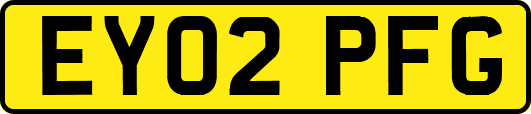 EY02PFG