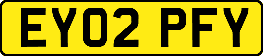 EY02PFY