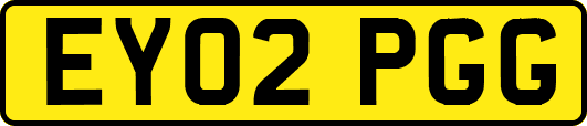EY02PGG
