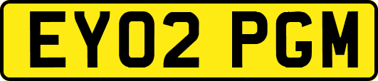EY02PGM