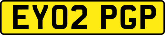 EY02PGP