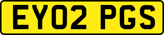 EY02PGS