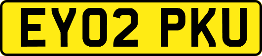 EY02PKU