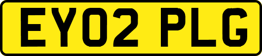 EY02PLG