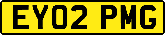 EY02PMG