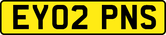 EY02PNS