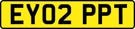EY02PPT
