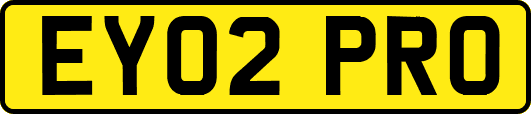 EY02PRO