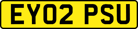 EY02PSU