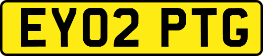 EY02PTG