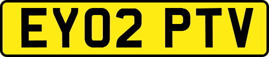 EY02PTV