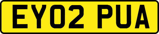 EY02PUA