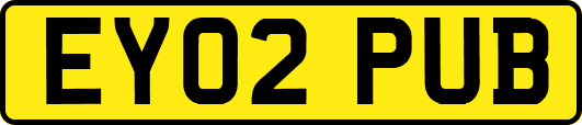 EY02PUB