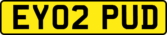 EY02PUD