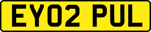 EY02PUL