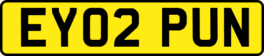 EY02PUN